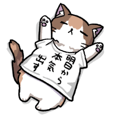 [LINEスタンプ] 三毛猫きなこスタンプ～家族編～