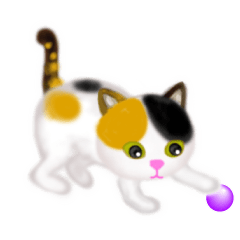 [LINEスタンプ] 【動く】ほのぼの三毛猫ちゃんスタンプ