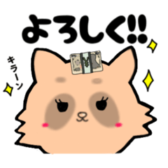 [LINEスタンプ] 推し活たぬき[お金]／日常で使える