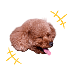 [LINEスタンプ] ぴのぱるの日常
