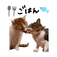 [LINEスタンプ] じんとのいスタンプ