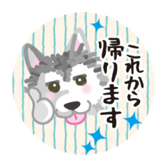 [LINEスタンプ] ぎんちゃんスタンプ04