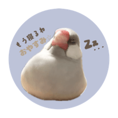 [LINEスタンプ] ゆる文鳥。2