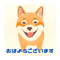 [LINEスタンプ] キュートな柴犬の挨拶