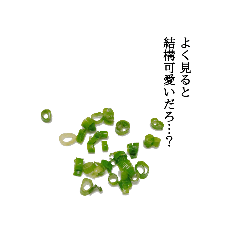 [LINEスタンプ] ネギだよ(3)【稀有@poetry2359】