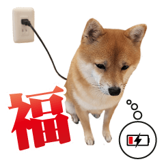 [LINEスタンプ] 福のわん語フォトスタンプ