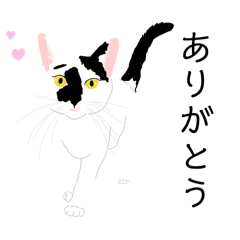 [LINEスタンプ] うちの猫はぶさかわです。