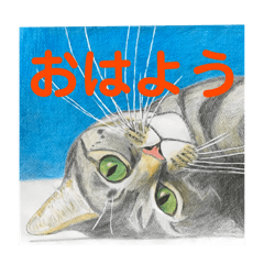 [LINEスタンプ] おおさかねこちゃん18