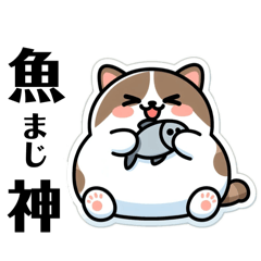 [LINEスタンプ] ヌコさんパラダイス