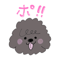 [LINEスタンプ] 甘えん坊の黒いトイプードル