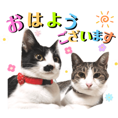 [LINEスタンプ] うる★ちこの可愛いなスタンプ