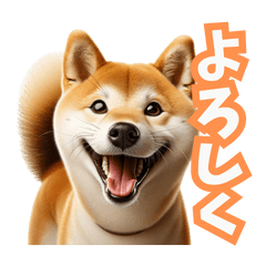 [LINEスタンプ] 柴犬！いつでも使えるスタンプ