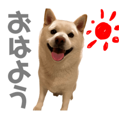 [LINEスタンプ] ゴン太とはちべぇ