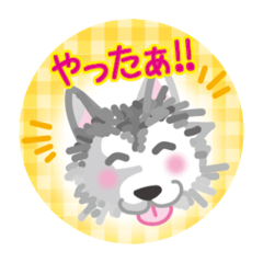 [LINEスタンプ] ぎんちゃんスタンプ06