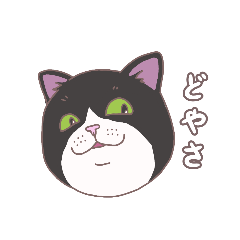 [LINEスタンプ] 猫たちの頭だけ(関西弁)