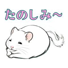 [LINEスタンプ] 白いハムスターおいっちょんの冒険