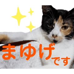 [LINEスタンプ] まゆげの一言