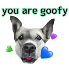 [LINEスタンプ] Dog.dog.dog.dog24