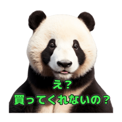 [LINEスタンプ] リアルパンダスタンプ