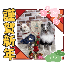 [LINEスタンプ] 犬正月Ⅱ