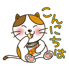 [LINEスタンプ] ひろネコの毎日使える挨拶