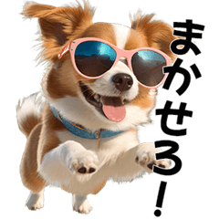 [LINEスタンプ] サングラス犬の日常