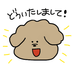 [LINEスタンプ] 毎日を明るくするトイプードルのあいさつ