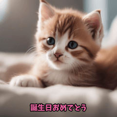 [LINEスタンプ] 仔猫スタンプ_2