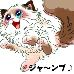 [LINEスタンプ] カーテンの後ろから覗く子猫