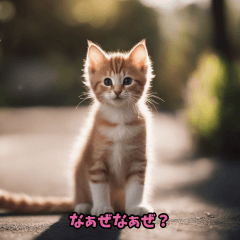 [LINEスタンプ] 2024年Z世代がよく使う言葉×仔猫 01