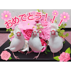 [LINEスタンプ] 癒やしの文鳥