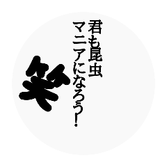 [LINEスタンプ] 昆虫【文字だけスタンプ】