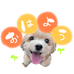[LINEスタンプ] メルリキニコスタンプ3