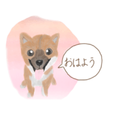 [LINEスタンプ] ほんわか動物のスタンプ