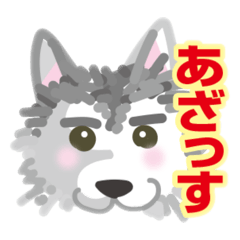 [LINEスタンプ] ぎんちゃんスタンプ09