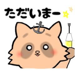 [LINEスタンプ] 推し活たぬき[錨]／日常で使える