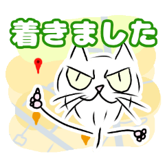 [LINEスタンプ] 野良ねこの野棒 野棒2日目