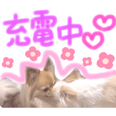 [LINEスタンプ] みぃきちラブラブすたんぷ♡