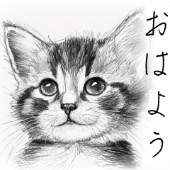 [LINEスタンプ] スケッチ子猫スタンプ