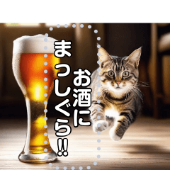 [LINEスタンプ] お酒にまっしぐら猫の画像（メイン）