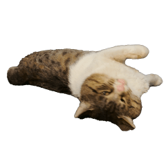 [LINEスタンプ] 動く野良猫ボブと仲間たちPart3