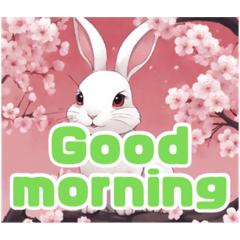 [LINEスタンプ] 桜と可愛いウサギのスタンプの画像（メイン）