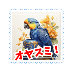 [LINEスタンプ] おしゃべりオウム⁉︎