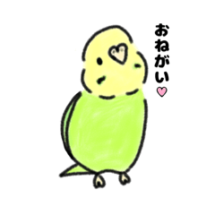 [LINEスタンプ] セキセイインコ 一言スタンプ