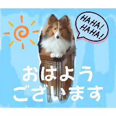 [LINEスタンプ] びすこってぃ〜続編