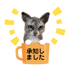 [LINEスタンプ] 羊毛フェルト猫スタンプ日本語