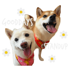 [LINEスタンプ] きなことすもも①