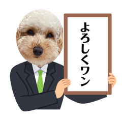 [LINEスタンプ] ピヨちゃん犬