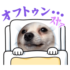 [LINEスタンプ] ポメチワのUruくん(7)