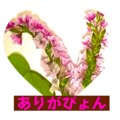 [LINEスタンプ] 八虎毛のニケ〜そろそろ春の訪れの画像（メイン）